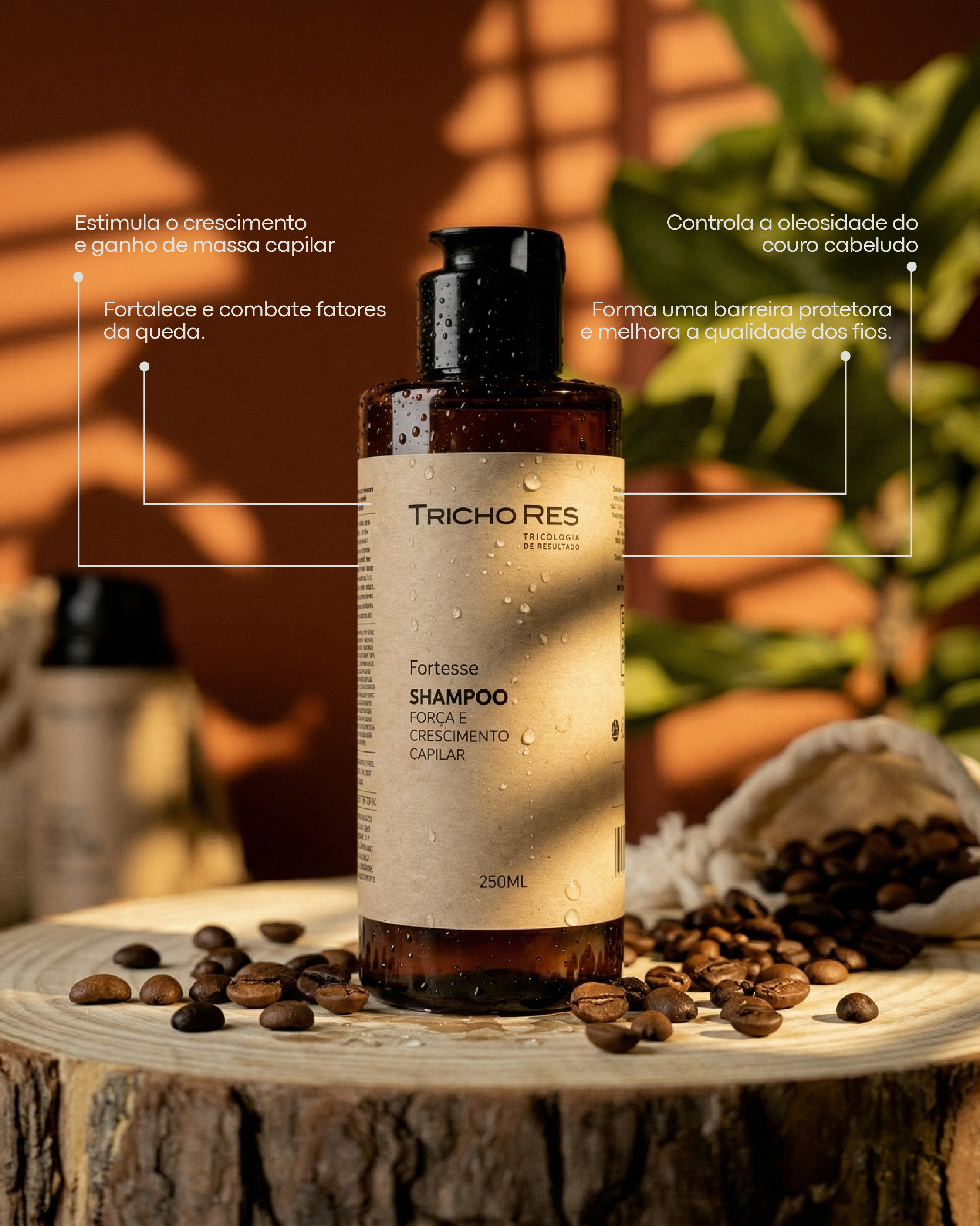 Fortesse – Shampoo